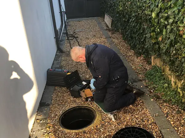 Inspecting a drain for signs of rats