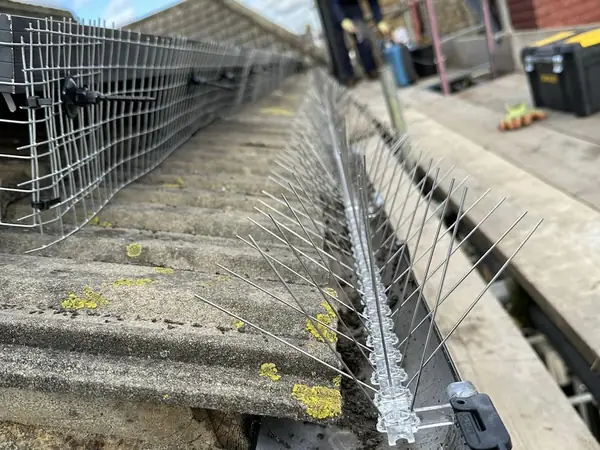 Bird spikes fitted along a roof gutter