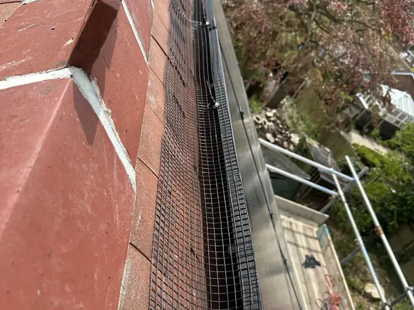 Bird proofing mesh fitted along a roof gutter